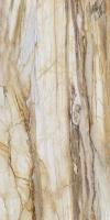 Керамогранит LM FOSSIL MC R (FBS01MQ041) 100x200 от Roca (Испания)
