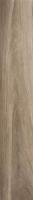 Керамогранит JUST COLOR Brown (58603N) 20x120 от Gardenia Orchidea (Италия)