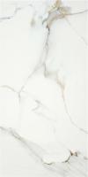 Керамогранит P.E. Lumiere natural mt rect 60x120 от STN Ceramica (Stylnul) (Испания)