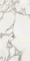 Керамогранит MAJESTIC PURE GLORIOUS ARABESCATO N/R (3902) 60x119.5 от Piemme Ceramiche (Valentino) (Италия)