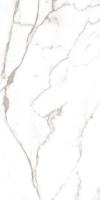 Керамогранит Statuario Grase GLOSTER 60x120 от Maimoon Ceramica (Индия)