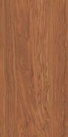 Керамогранит Олива коричневый обрезной (SG565320R) 60x119.5x0.9 от Kerama Marazzi (Россия)