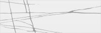 Настенная плитка Chicago White Stone WT11CHS00 20x60 от New Trend (Россия)