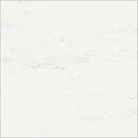 Керамогранит CHA.DEL.B.MICHEL.80 RET (610010001914) 80x80 от Italon (Россия)