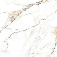 Керамогранит Trendy (GFU04TRD04R) 60x60x9 от Alma Ceramica (Россия)