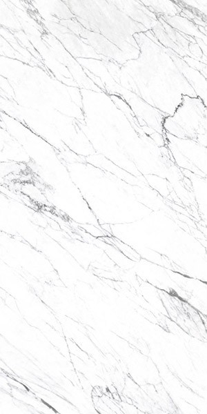 Керамогранит LM STATUARIO ST (FPK01MQ011) 100x200 от Roca (Испания)