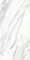 Керамогранит Calacatta Belgia 60x120x5.5 от Ocean Ceramic (Индия)