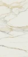 Керамогранит CAL.GOLD CHAIN D 6MM GLOSSY (750679) 120x240 от REX Ceramiche (Италия)