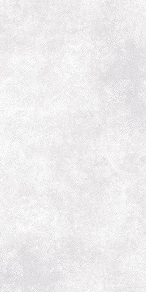 Керамогранит Ideal светло-серый ректификат (16666) 44.8x89.8 от Mei (Германия)