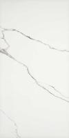 Керамогранит MAJESTIC QUEEN S TIARA NAT/RET (02656A) 60x120 от Piemme Ceramiche (Valentino) (Италия)