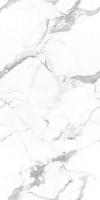 Керамогранит MARMO Callacata Endless (NTT99507P) 60x120 от NT Ceramic (Индия)