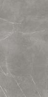 Керамогранит Forte Dei Marmi Elegant Grey Honed Satin (610015000657) 60x120 от Atlas Concorde (Россия)