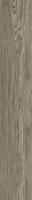 Керамогранит Wood Forest mat (NTT92306M) 20x120 от NT Ceramic (Китай)