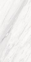 Керамогранит 1123 glossy 60x120 от Simpolo (Индия)