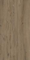 Керамогранит Kolan Varde 60x120 от Ocean Ceramic (Индия)