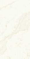 Керамогранит Marvel Shine Calacatta Delicato Lappato (A4RH) 120x240 от Atlas Concorde (Италия)