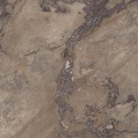 Керамогранит EPOQUE BROWN RET (PF60004408) 60x60 от Ariana (Италия)