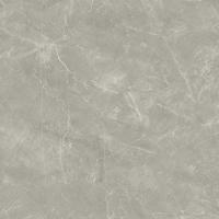 Керамогранит Wolf Grey Сатинированный 80x80 от Laparet
