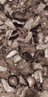 Керамогранит ACCENT Volcanic Agate HIGH GLOSSY (ENACN1013HG60120) 60x120 от Ennface (Индия)