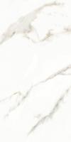 Керамогранит Splendida Marmol Carrara Polished (N12028) 60x120 от Neodom (Индия)