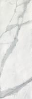 Настенная плитка ROMA 25 STATUARIO (fLSR) 25x75 от FAP Ceramiche (Италия)