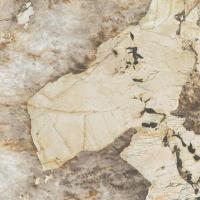 Керамогранит Marvel Desert Soul Lappato (AFXM) 120x120 от Atlas Concorde (Италия)