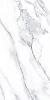 Керамогранит Splendida Calacatta Classico Polished (N20326) 60x120 от Neodom (Индия)