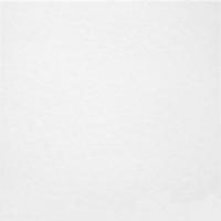 Напольная плитка Monocolor (TFU03MNR000) 41.8x41.8x8 от Alma Ceramica (Россия)