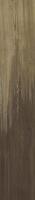 Керамогранит Rainwood Sunset 15x90 от STN Ceramica (Stylnul) (Испания)