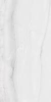 Керамогранит Rivanta Silver Glossy 60x120 от Art Ceramic (Индия)