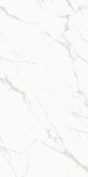 Керамогранит Noble Super White Satin Matt Белый 60x120 от Colortile (Индия)