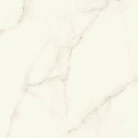 Керамогранит Marvel X Calacatta Apuano Silk (AFVJ) 120x120 от Atlas Concorde (Италия)