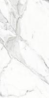 Керамогранит CALACATTA SILVER matt (923593) 60x120 от Керлайф (Россия)