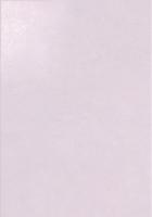 Настенная плитка PROVENCE AIX-L (12853) 33x47 от Peronda (Испания)