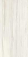 Керамогранит HBO1 BOUTIQUE SHINE HARD (GCBO01SJ) 60x120 от Del Conca (Италия)