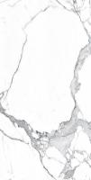 Керамогранит Belvedere Statuario Classico Polished (N20321) 60x120 от Neodom (Индия)