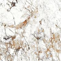 Керамогранит BURBERRY White Sugar 60x60 от ITC (Индия)