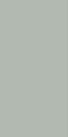 Керамогранит MONOCOLORS Reed Green Matt Fullbody 60x120 от StaroSlim (Индия)