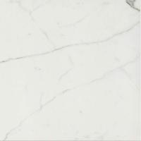 Керамогранит TIMELESS CALACATTA LUC RET (746855) 60x60 от Cerim (Италия)