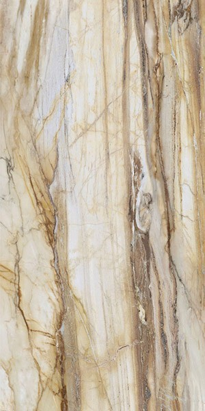 Керамогранит LM FOSSIL ST R E (FBS00MQ041) 100x200 от Roca (Испания)