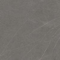 Керамогранит Xlight Premium Liem Grey Polished (C221100601) 120x120 от XLight (Испания)