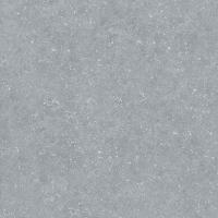 Керамогранит Bluestone Light 20мм 59,7 59.7x59.7 от Ocean Ceramic (Иран)
