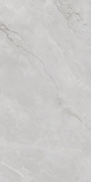 Керамогранит ASTONIA Silver Glossy Silver Line 60x120 от Infiniti (Индия)