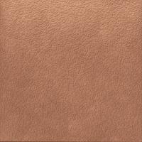 Керамогранит Argillae Nisus Coral Rect 60x60 от APE Ceramica (Испания)