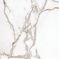 Керамогранит MARMO E PIETRA CALACATTA ORO LAPP/RETT (163025) 120x120 от AVA Ceramica (Италия)
