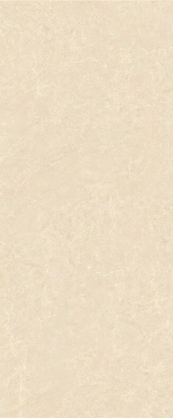 Керамогранит Magnoliasa Extra Polished (6 мм) (MN114AP261206) 120x260 от Moreroom (Китай)