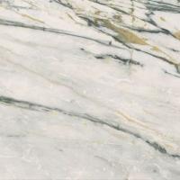 Керамогранит EPOQUE 21 CALACATTA BAMBOO ANT R (PF60009349) 60x60 от Ariana (Италия)