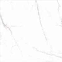 Керамогранит Calcatte White matt 60x60 от Ocean Ceramic (Иран)