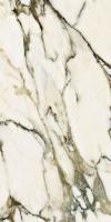 Керамогранит Splendida Calacatta Venato Glossy (CV20218) 60x120 от Neodom (Индия)