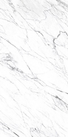 Керамогранит LM STATUARIO ST (FPK01MQ011) 100x200 от Roca (Испания)